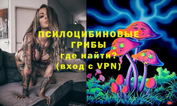 молекула духа Волоколамск