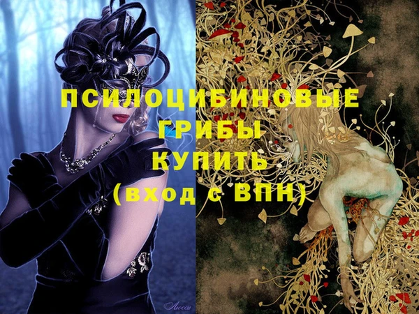 молекула духа Волоколамск